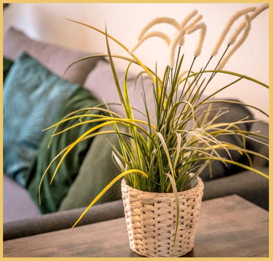 Appartement T3 I Cozy I ドゥベーヌ エクステリア 写真